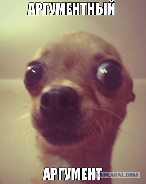 Начался обстрел аэродрома и окрестностей в Донецке