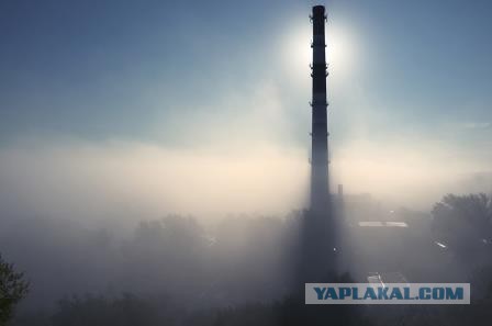 15 любительских фотографий