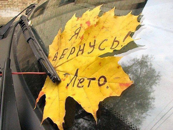 Просто фото