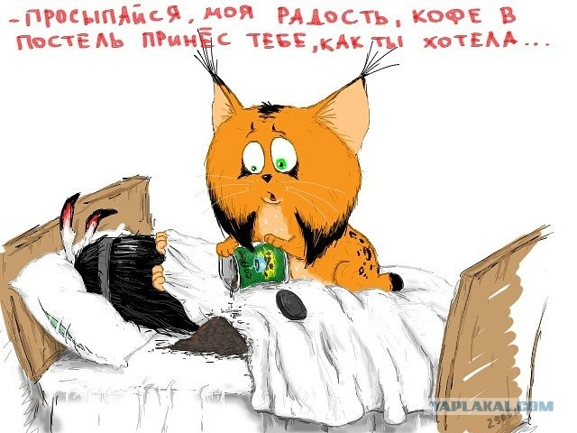 Прикольные картинки про кофе в постель, школе картинки
