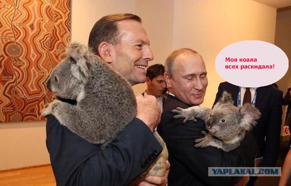Путин и коала