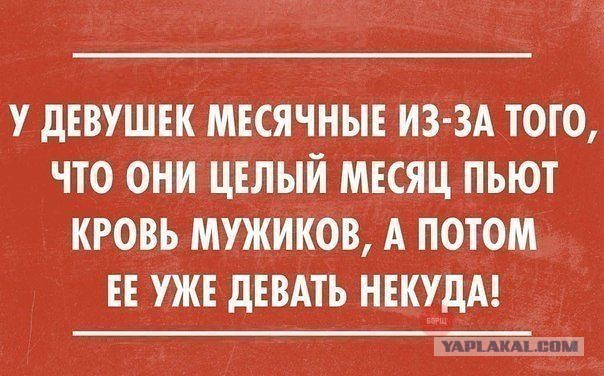 Веселые картинки