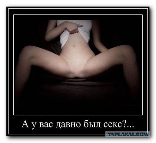 Весёлое из сети