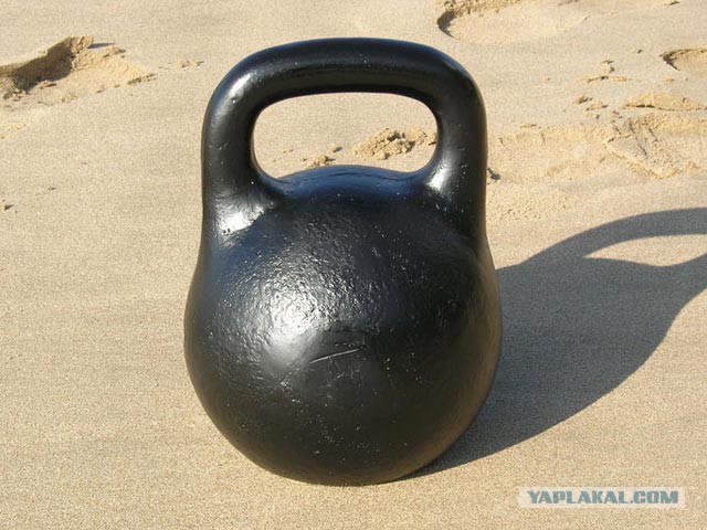 В нашем доме появился