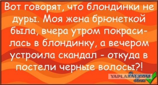 Картинки из этих ваших интернетов
