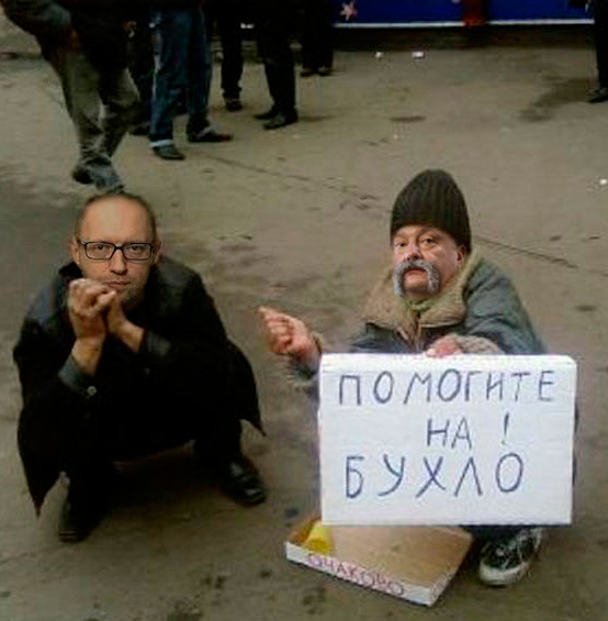 Жабы на яйценюха
