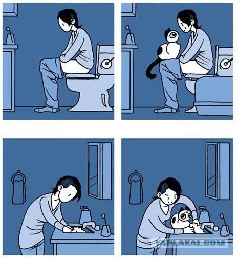 Жизнь До и После