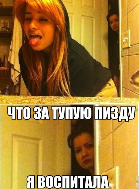 Приколы из сети