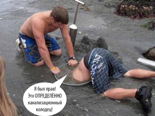 Забавные картинки из Сети