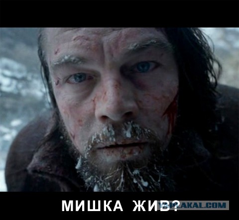 Медведь и алкаши