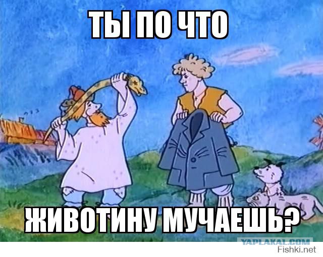 Как очистить воду с помощью ужа