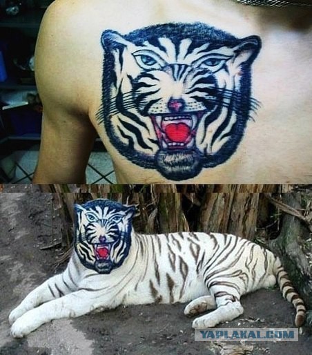 Глупые вопросы тату-мастерам