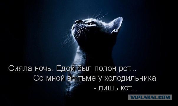 Я - ночь! Я - страх! Я - тыг-дык-дык-дык!