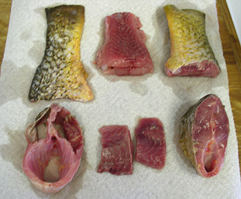 Все из рыбы!