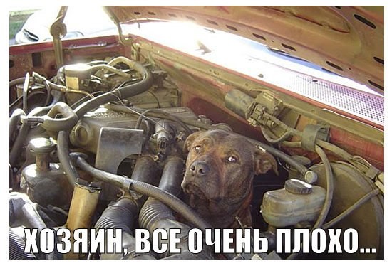 Подборка интересных и смешных картинок