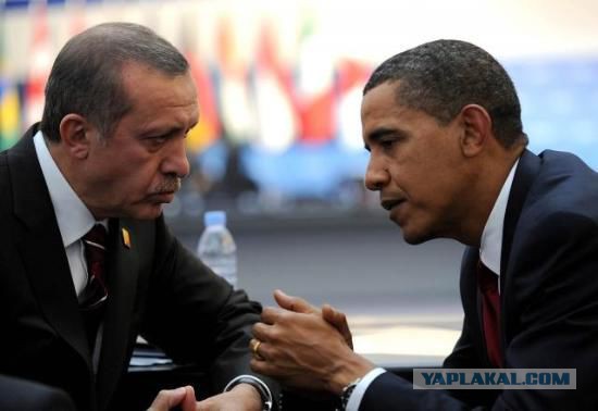 Американский госдеп сделал заявление в поддержку Эрдогана