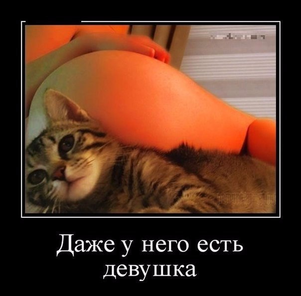 Немного картинок и гифок для пятничного настроения.