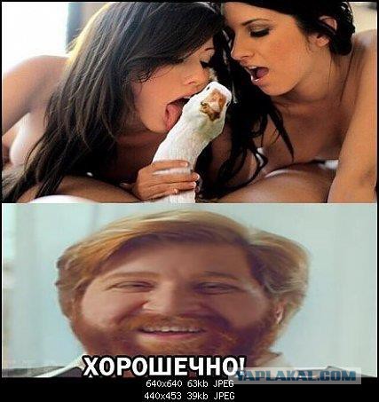 Звезды ХХХ в повседневной жизни