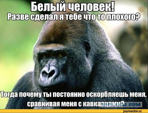 А вот и сам красавчик, убивший Джабраила Джабраилова