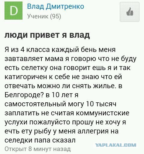 Интересные факты о селедке