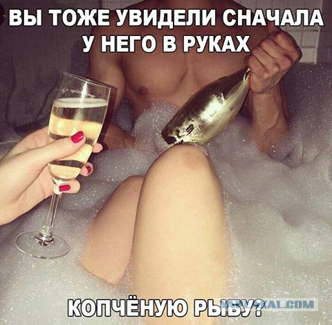 Порция абсурдного юмора на следующую неделю