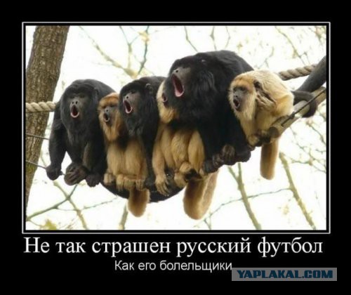 Немного картинок и демотиваторов