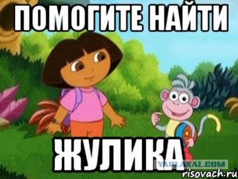 Кто и как ворует русский лес
