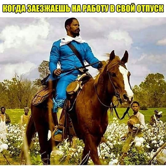 Картинки
