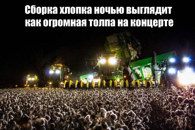 Подборка интересных и веселых картинок