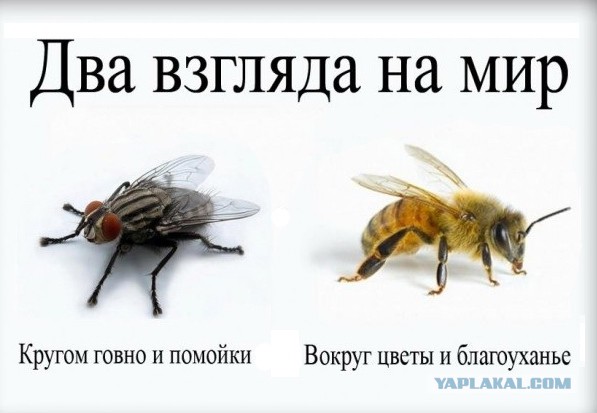 Краснодар. Мои впечатления