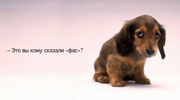 Подборка интересных и веселых картинок