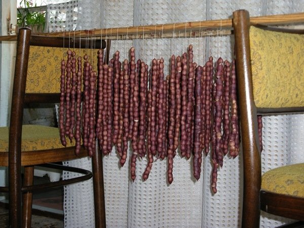 Чурчхела и пеламуши