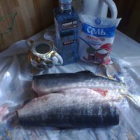 Как надлежит водочку правильно употреблять
