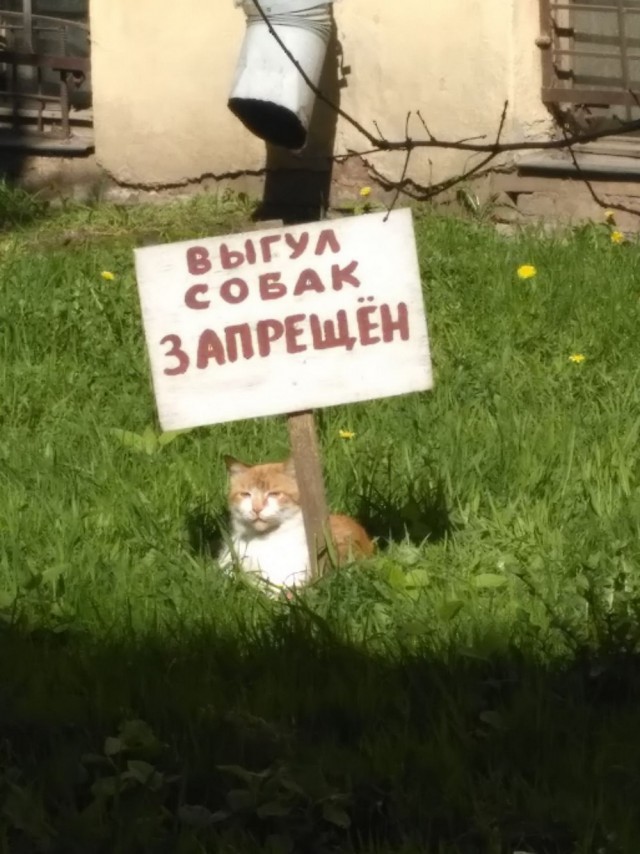 Подборка интересных и веселых картинок 20.08.18