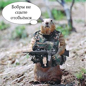 Экскаваторщик-перфекционист