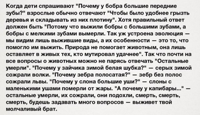 12 ответов на популярные "Почему?"