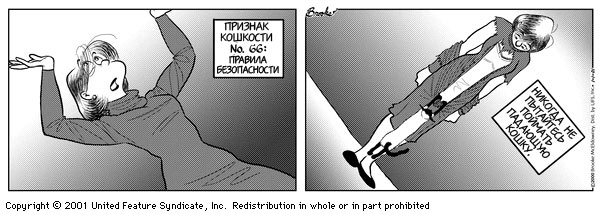 Признаки кошкости