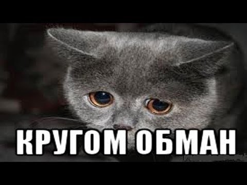 Работа полиции