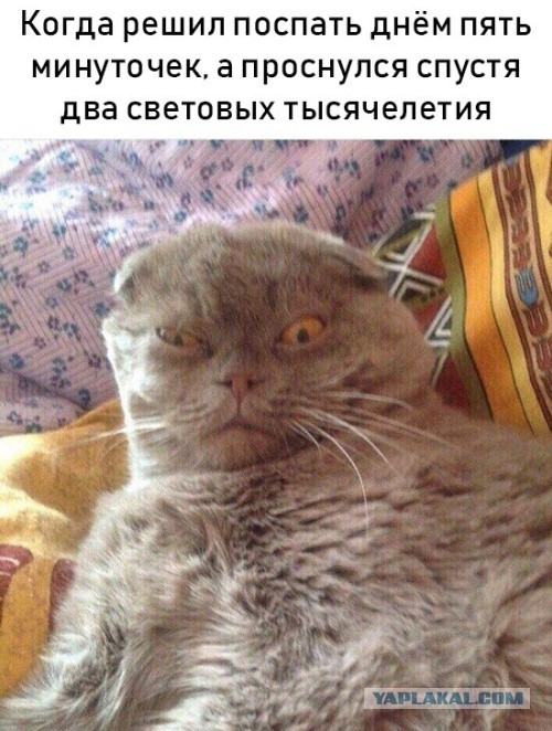 Стандартный юмор #3