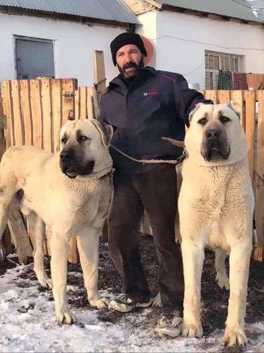 Немного картинок для настроения!