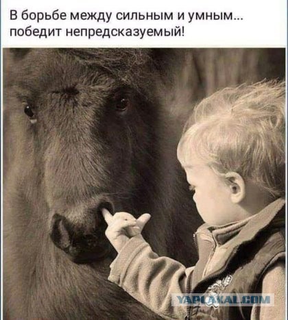 Немного картинок для настроения 07.12.19