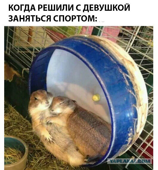 Чуток картинок! 26.12.19