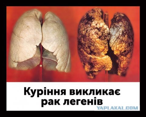 Австралийцы - курите "на здоровье