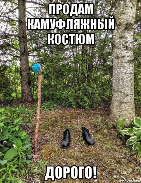 Перлы 08.06.20.