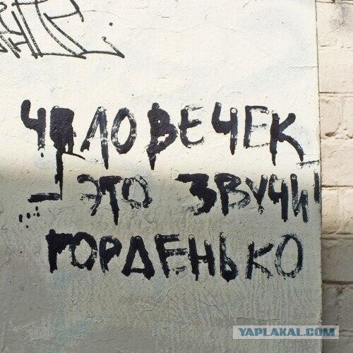 Сколько стоит надоевшая жена