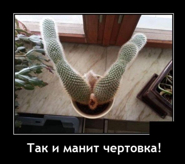 Картинки всякие