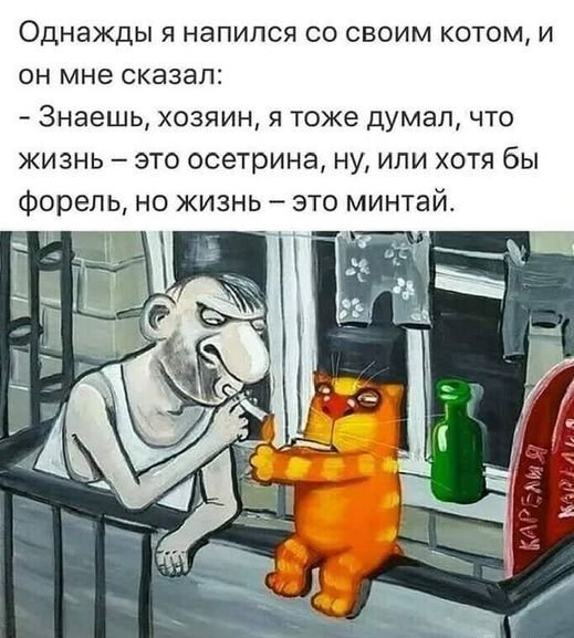 Давно не было солянки из картинок