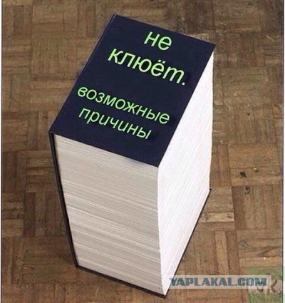 Первый толстолоб