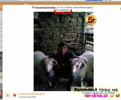 Недотрога с фальшивыми правами