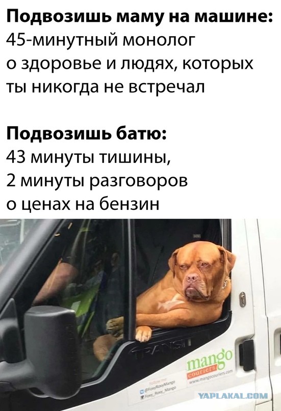 Весёлый полтишок 5.07